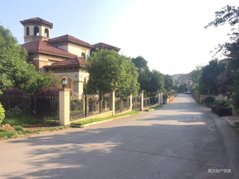 卓越麓山别墅(别墅)6室2厅4卫386㎡南北1200万