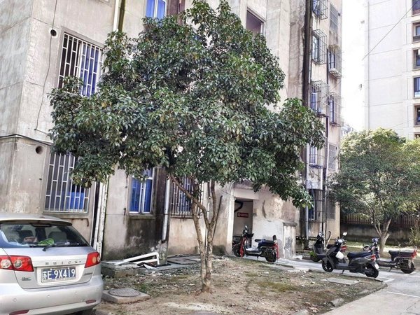 石湖东路地铁 东吴南路155号院 吴中商城 阳光水榭龙湖天街