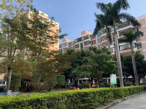 汕头龙湖夏桂埔庐山花园庐山花园 5楼142平方3房2带套间双阳台租金