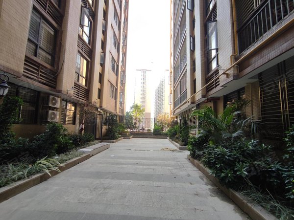 揭阳普宁南平路阳光城(普宁)南园阳光城小区,电梯二房一厅,带厨房阳台