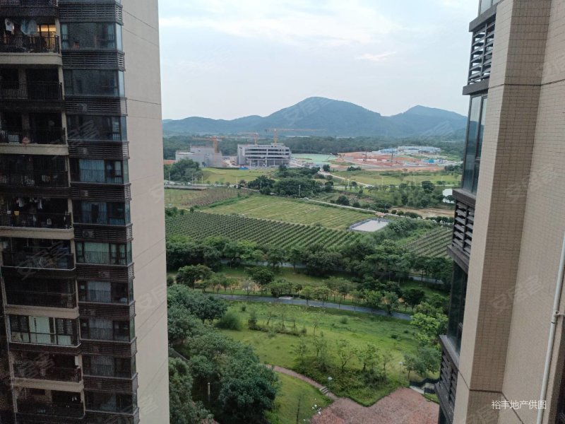 招商雍景湾三房两厅,业主急卖价格好谈,送空调