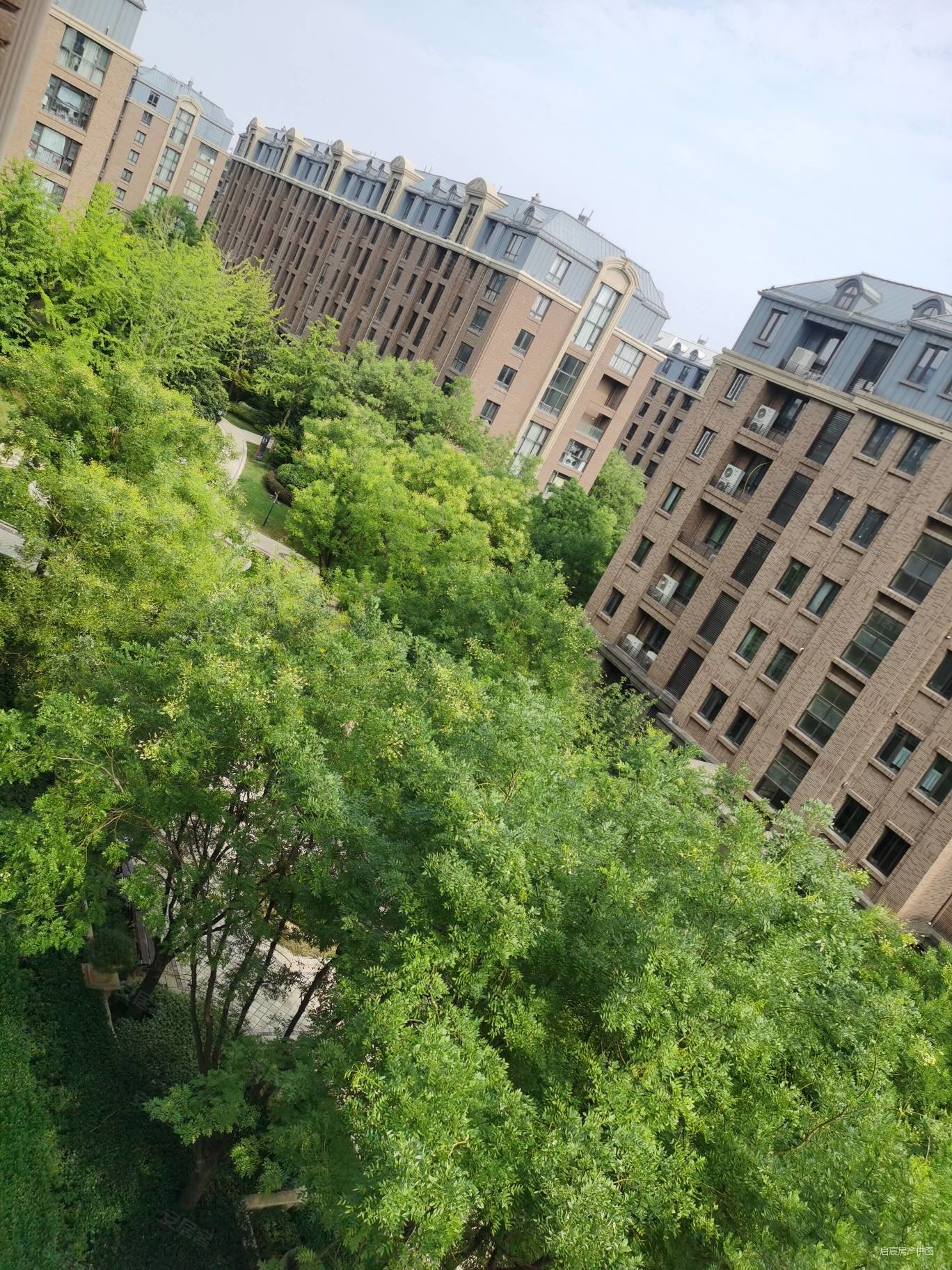 普罗旺世龙之梦西苑