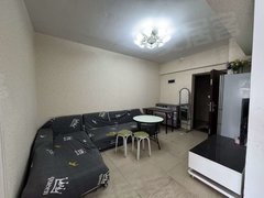 合肥蜀山安徽大学建业领翔 南北通透 电梯房 2室1厅1卫 精装修出租房源真实图片