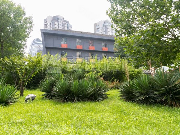 【多图】宝星园,望京租房,望京 宝星园 soho 麒麟社 融科橄榄城