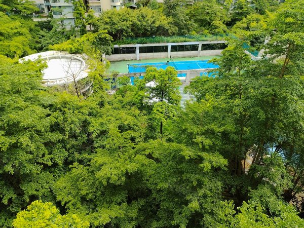 深圳福田竹子林碧海云天(二期)碧海云天二期 全齐4房 南北通透 随时