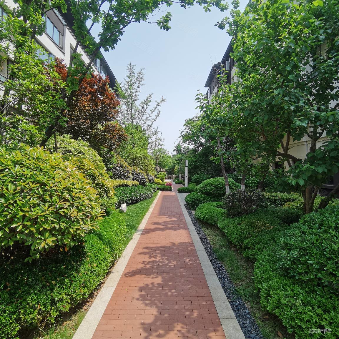 冠景君悦湖4室2厅2卫163.98㎡南北599万