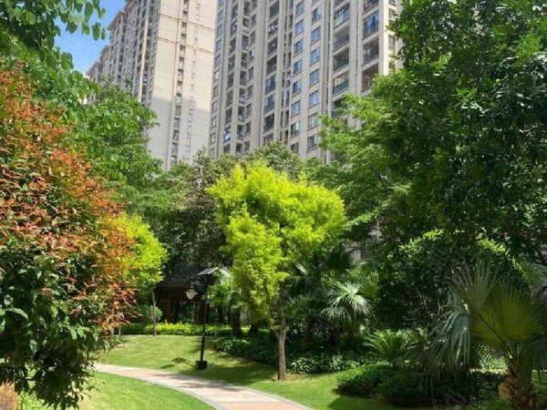 泉州洛江万安街道三盛四季公园(一期)大润发 高品质小区 三盛四季公园