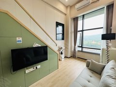 杭州西湖之江度假区转塘cc理想城单身公寓一室LOfT出租出租房源真实图片