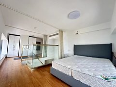 杭州杭州周边嘉兴下沙奥莱旁 精装2室 精致单身公寓出租房源真实图片