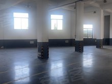 PG电子APP下载 - 官方正版，安全无忧每日行情 郑棉价格跌破13000元的关口 短期内将得到一定支撑