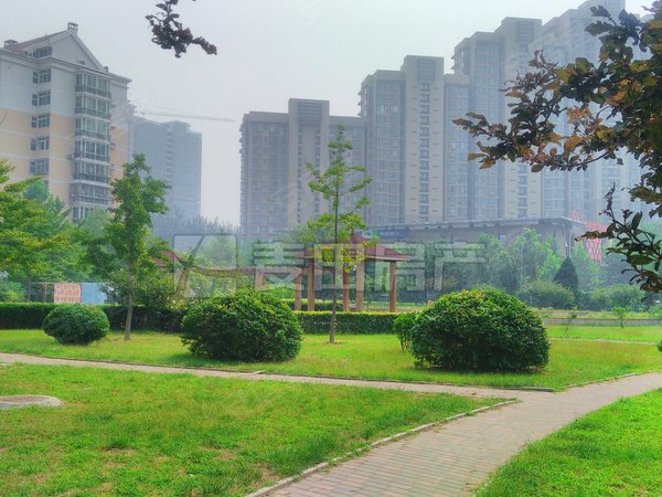 北京朝阳奥林匹克公园龙祥嘉园南北通透 2室2厅  龙祥嘉园出租房源