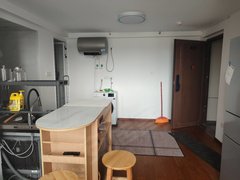 南宁西乡塘北大路南铁整租贰仟四 珑廷(商住楼) 1室0厅1卫  电梯房出租房源真实图片