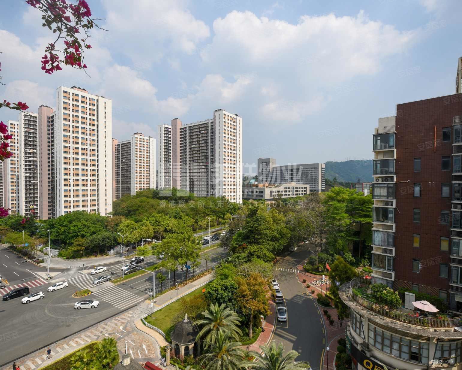 圣莫丽斯安静看山景深圳外国语降价200万南北通