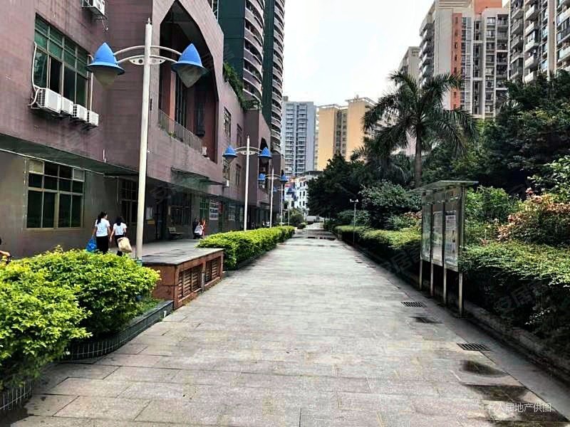 东莞房产网>东莞二手房>南城二手房>鸿福路口二手房>七宝一居>800_600