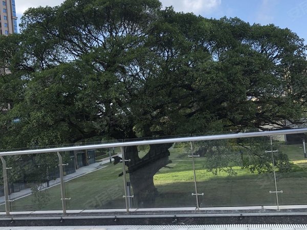 群升广场 1室1厅1卫 电梯房 精装修 南北通透,闽侯租房-福州58安居客