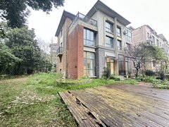 合肥蜀山黄潜望政务区 新粮仓旁 地铁口维也纳森林花园别墅 精装边户大院子出租房源真实图片