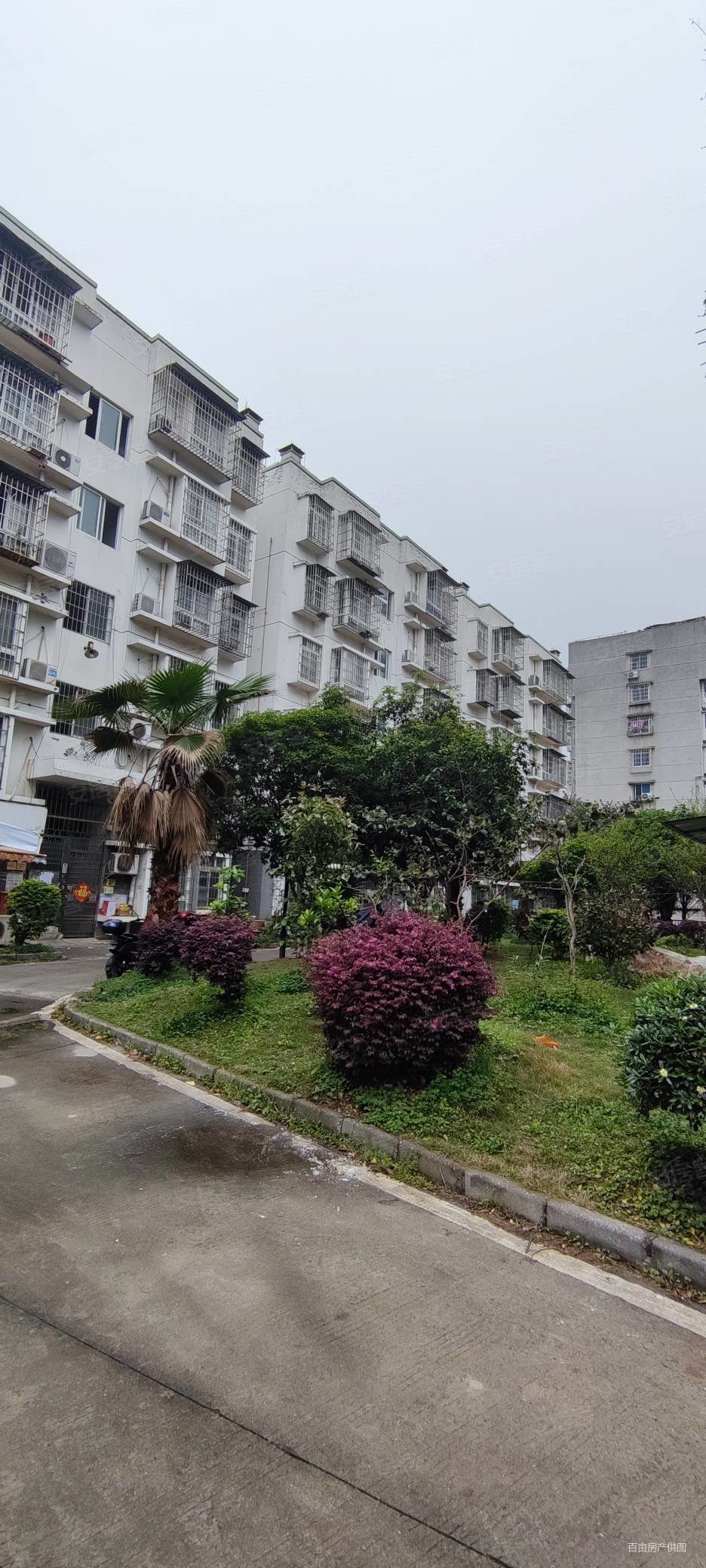 东环路西船大院三房两厅出售