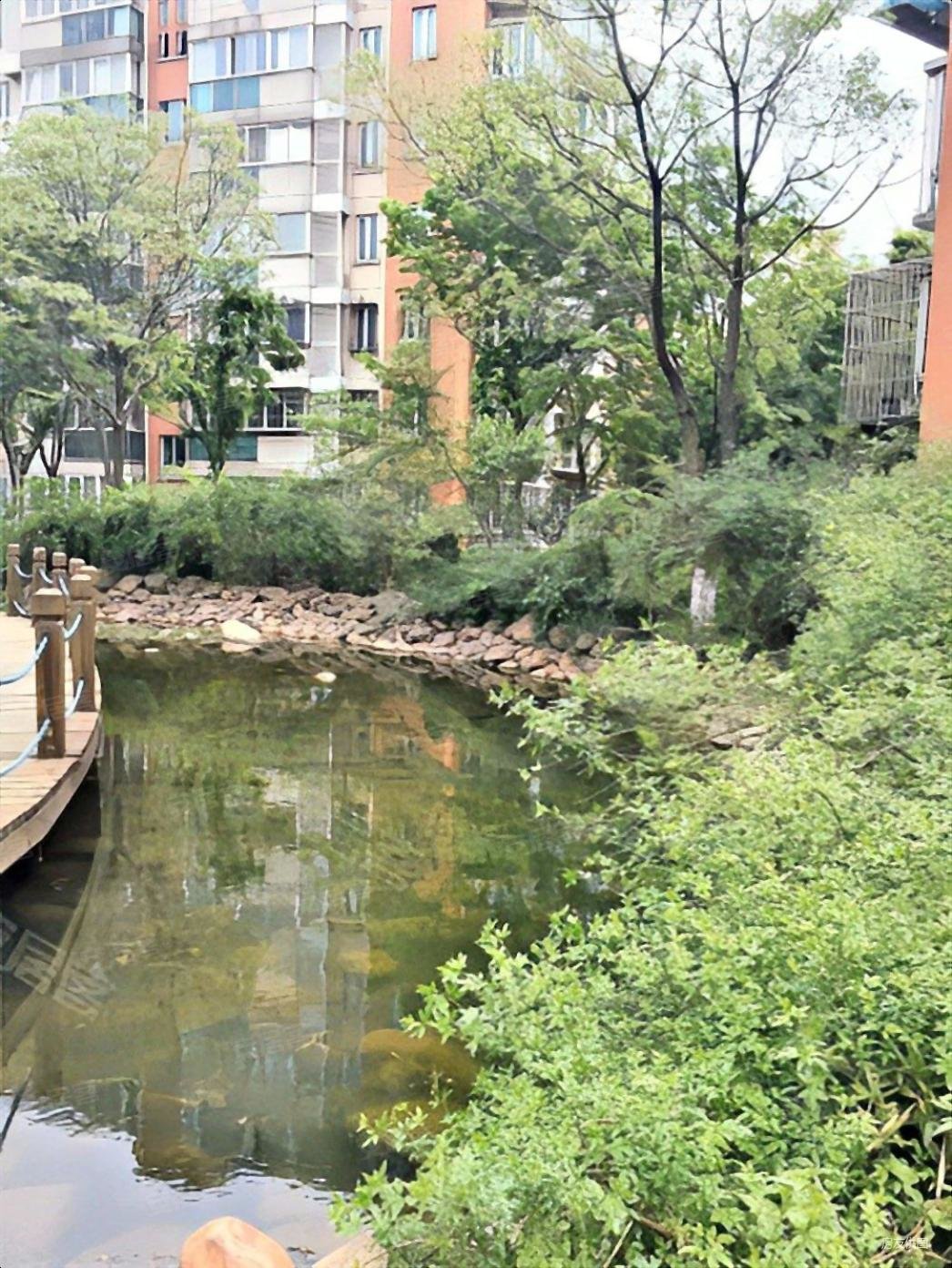 翠岛花城 地铁一号线 园林小区 万科物业业主诚心出售