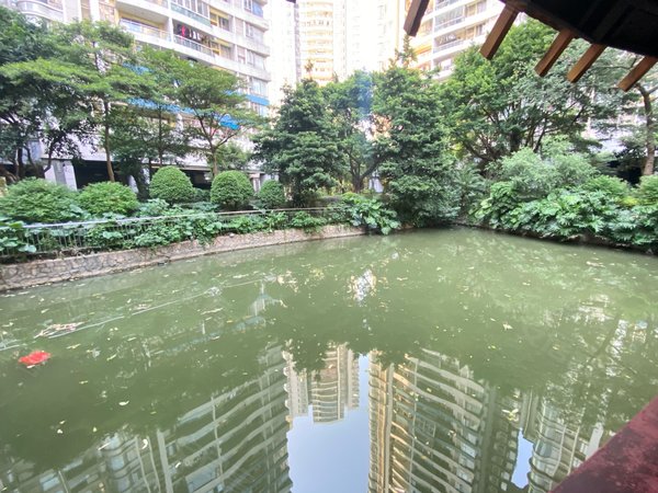 广州白云罗冲围富力桃园富力桃园两房一厅,中层望学校,拎包入住,配套
