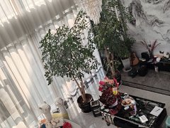 临沧临翔凤翔别墅出租，豪华装修，1楼可以停车6辆，适合居住两用出租房源真实图片