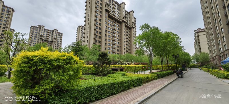 金山壹号 107送7平米  装修拎包住 电梯房