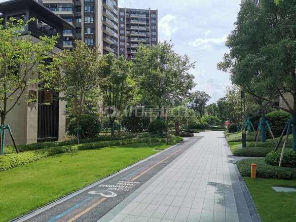 【多图】龙光江南院子,沙井大道租房,整租1999龙光江南院子精装三房