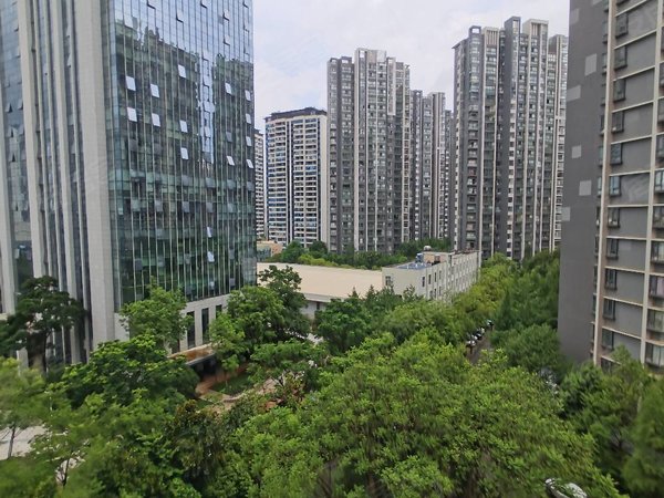 昆明五华高新区华飞新域盛景急租 底物业民水民电 可空租 可配家具