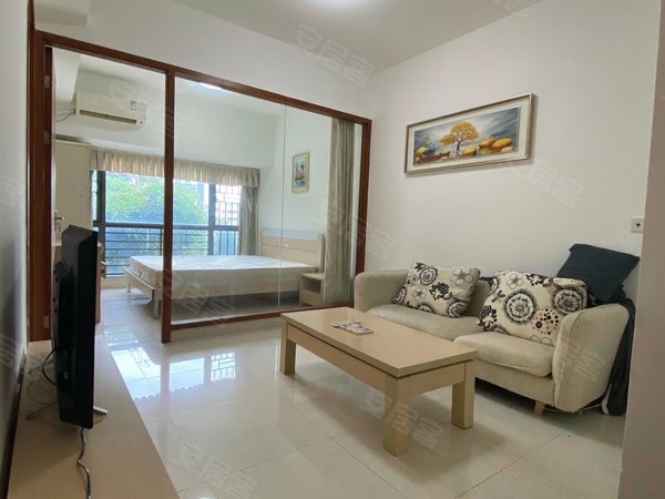 深圳南山南油南园枫叶公寓干净舒适的家,南园枫叶公寓 通透两房 降价