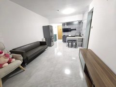 深圳罗湖人民南精致装修一房一厅，价格便宜实惠，家私家电配置好出租房源真实图片