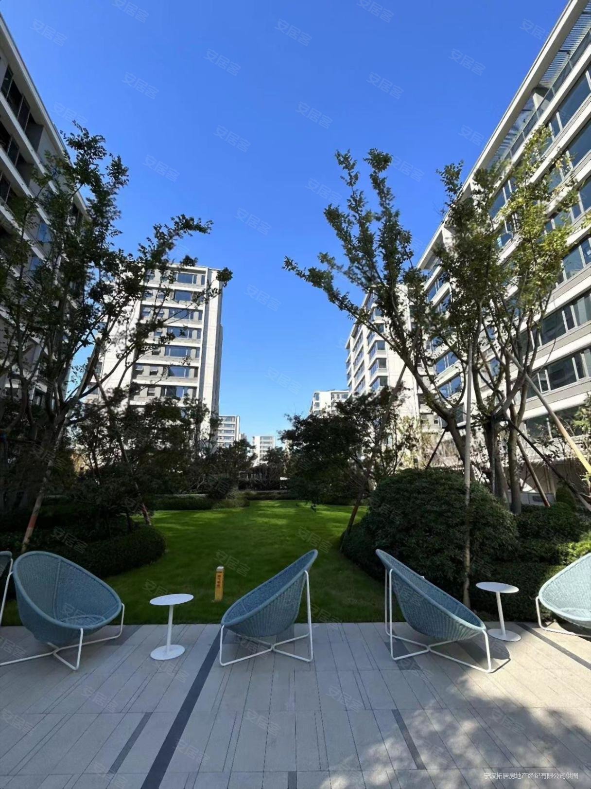 全新豪华装修好楼层绿城春来晓园17层直接入