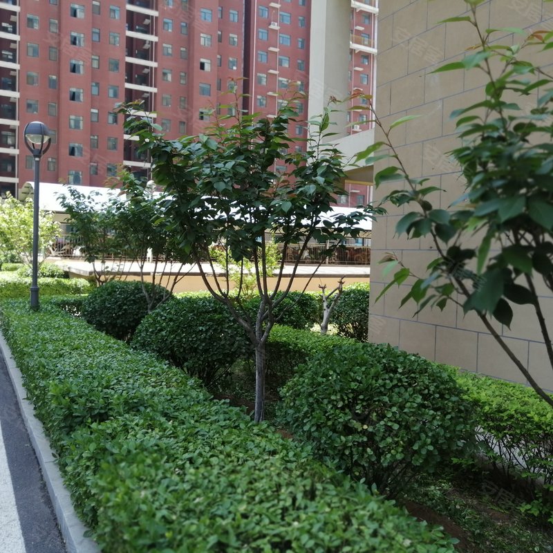 【龙泽苑, 龙泽苑小区详情,房价走势,房源,业主论坛】- 莱芜58同城