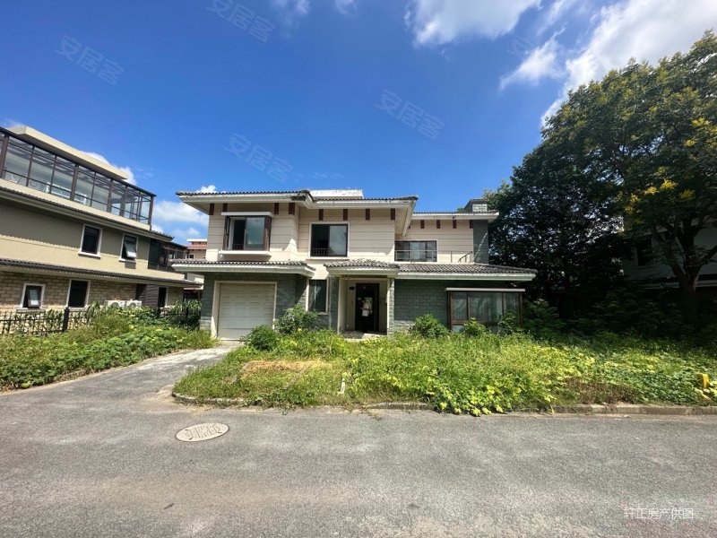 丰泽园独栋别墅南花园 北临河花园600平 纯毛坯