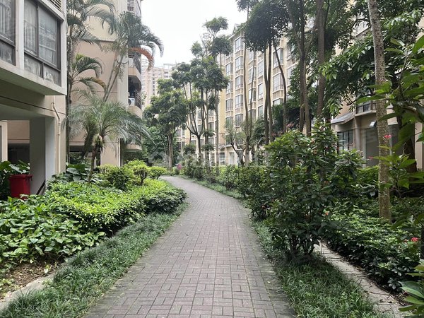 【多图】翠堤湾,华强租房,翠堤湾 3室2厅2卫 99平 电梯房 精装修,西乡