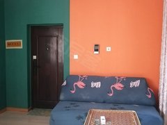 乐山市中旧大桥华厦上居 1室1厅1卫出租房源真实图片