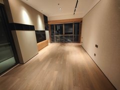 深圳龙华深圳北站深圳北北站壹号,豪装两房两卫,中西式厨房,带浴缸,随时可看房出租房源真实图片