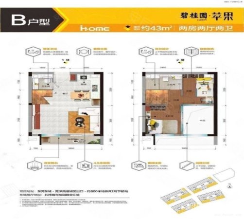 碧桂园苹果(二期)2室1厅1卫43.96㎡南北49万