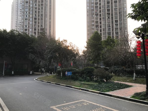 重庆合川合川区城南金九南滨花园南滨花园 1400 包含网络费 临滨江