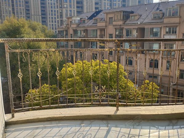 上海浦东新场东方冠郡(南区公寓住宅)新场东方冠郡一期,电梯高楼层精