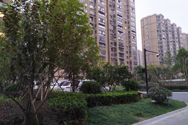 杭州小区 临安小区 临安小区 大园新城 大园新城怎么样发布于2021年07