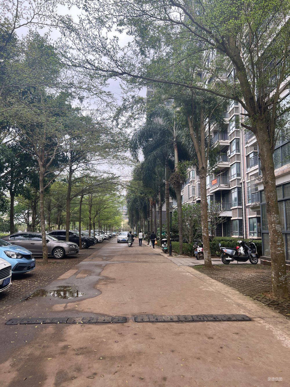 南海佳园2室2厅1卫77.38㎡南北165万