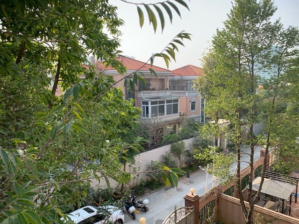 深圳龙华民治梅花山庄(别墅)深圳北站 梅花山庄 独栋别墅 可办公设计