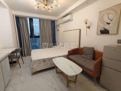 南宁良庆良庆镇总部基地 精装漂亮一房 五象世茂中心 近地铁 近宜家出租房源真实图片