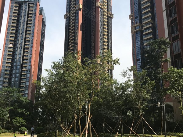 【多图】星河银湖谷,坂田租房,星河双子塔旁 精装修4房双卫 房子干净
