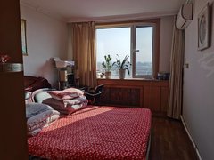 丹东振兴实验小学学区胜利街汽改楼 简单装修 离道边近 好停车 家电齐全 拎包入住出租房源真实图片