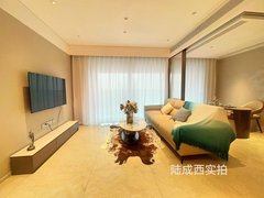 深圳宝安新安万科大都会 新装修 无气味 出租出租房源真实图片