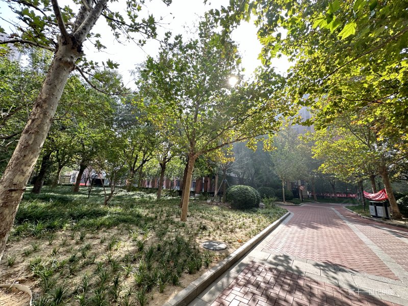 急售房源 三期主力三居,精装修,高层采光,满五年税少,有钥匙,橡树湾