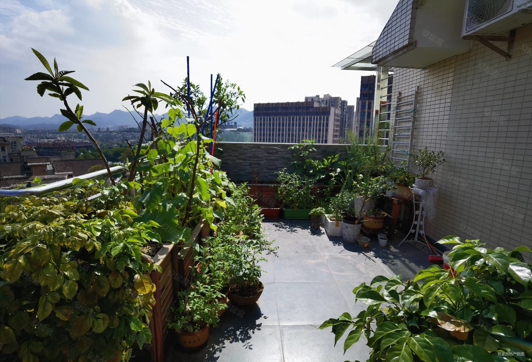业主急卖豪装顶跃带几十平屋顶花园位置好视野好多个阳台