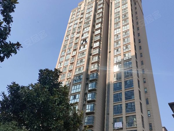 宿州灵璧灵璧城区紫金城紫金城 电梯中层 拎包入住 北关新县医院隔壁
