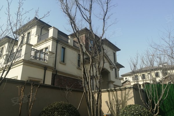 圣兰菲诺(别墅),算圣路,近书圣路-临沂圣兰菲诺(别墅)二手房,租房