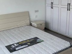河间瀛海公园瀛海天玺园洋房三室出租,家具家电齐全,16000带车位随时看房出租房源真实图片